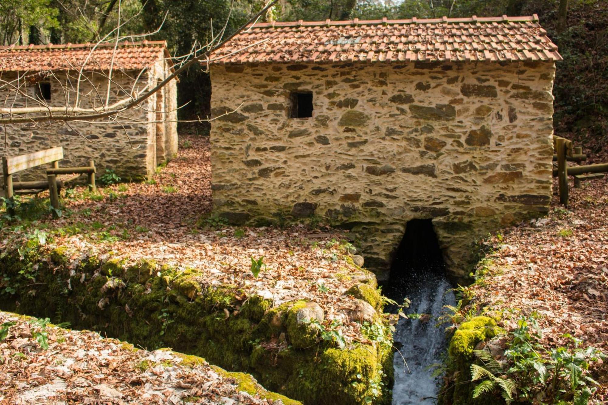 Quinta Das Aguias Авейру Екстер'єр фото
