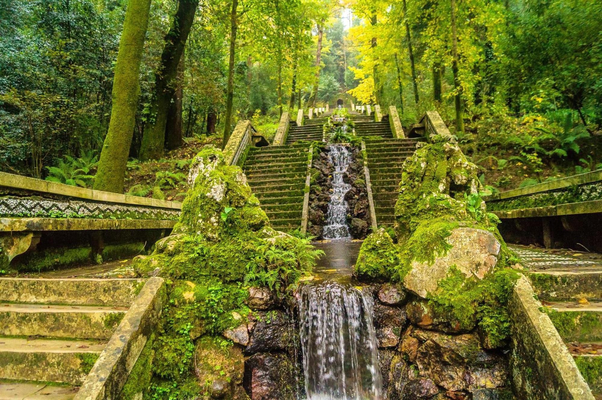 Quinta Das Aguias Авейру Екстер'єр фото