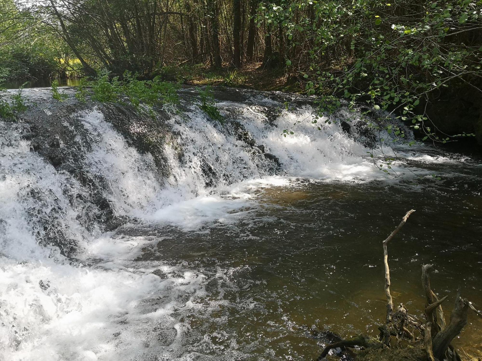 Quinta Das Aguias Авейру Екстер'єр фото