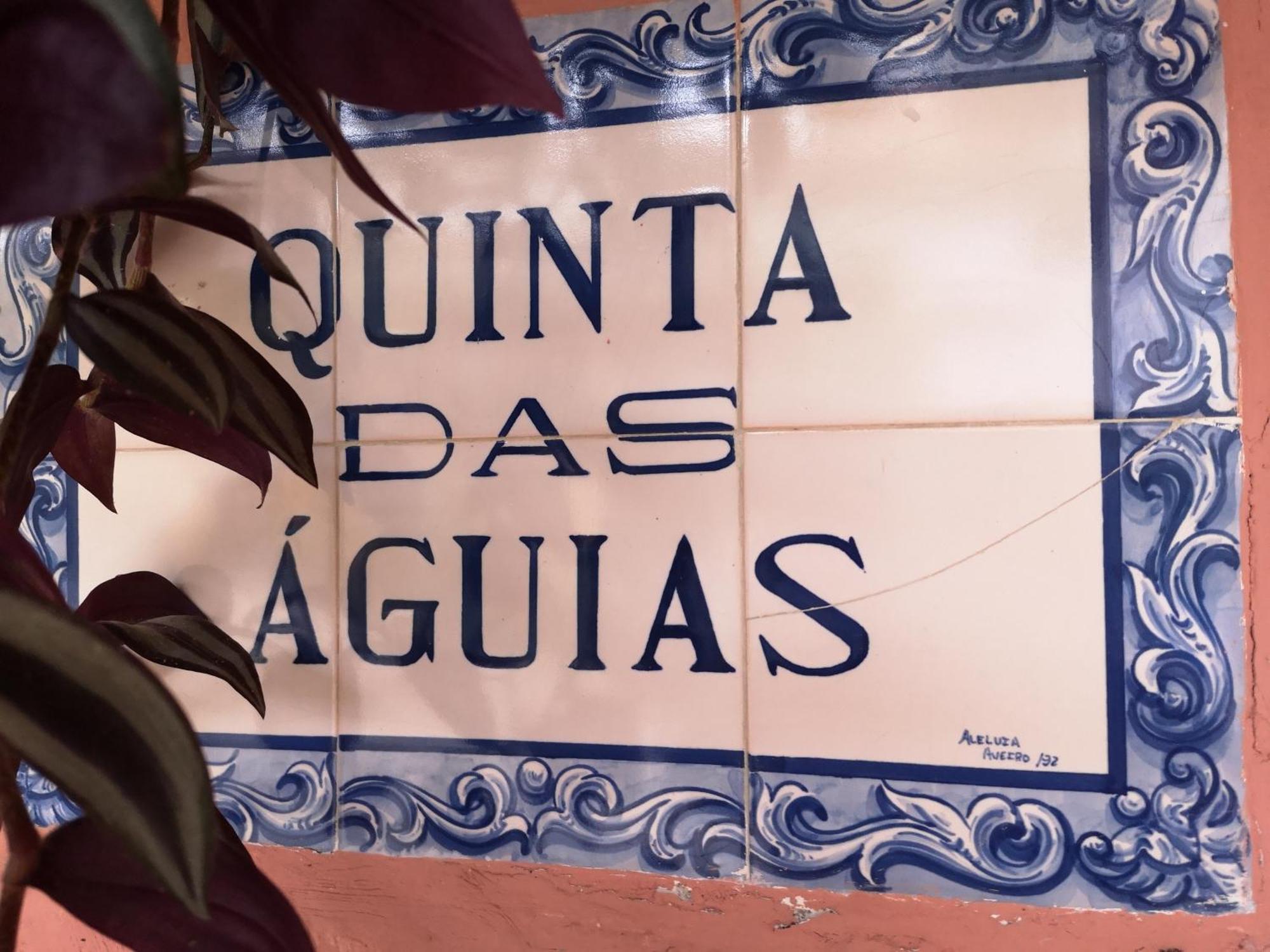 Quinta Das Aguias Авейру Екстер'єр фото
