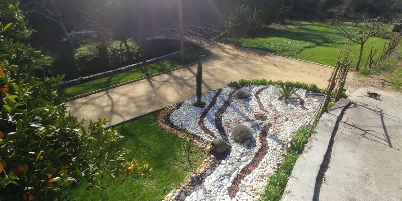 Quinta Das Aguias Авейру Екстер'єр фото